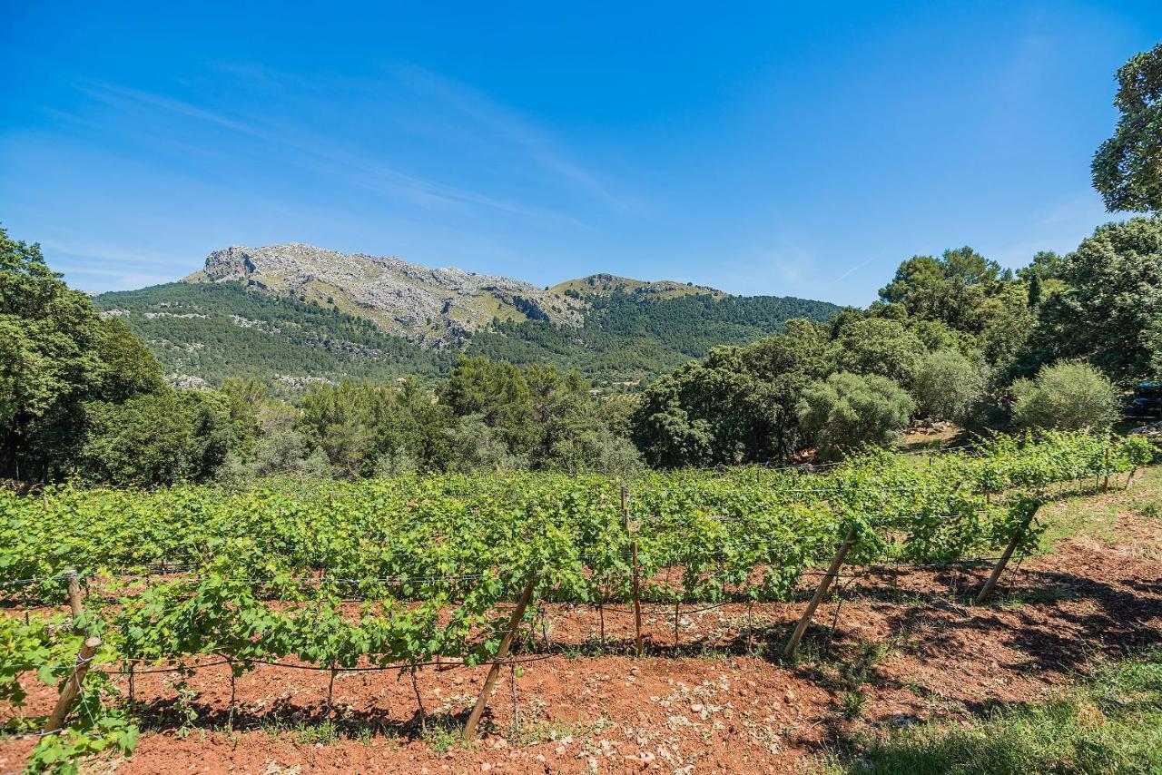 Picassa Villa Pollença Екстериор снимка