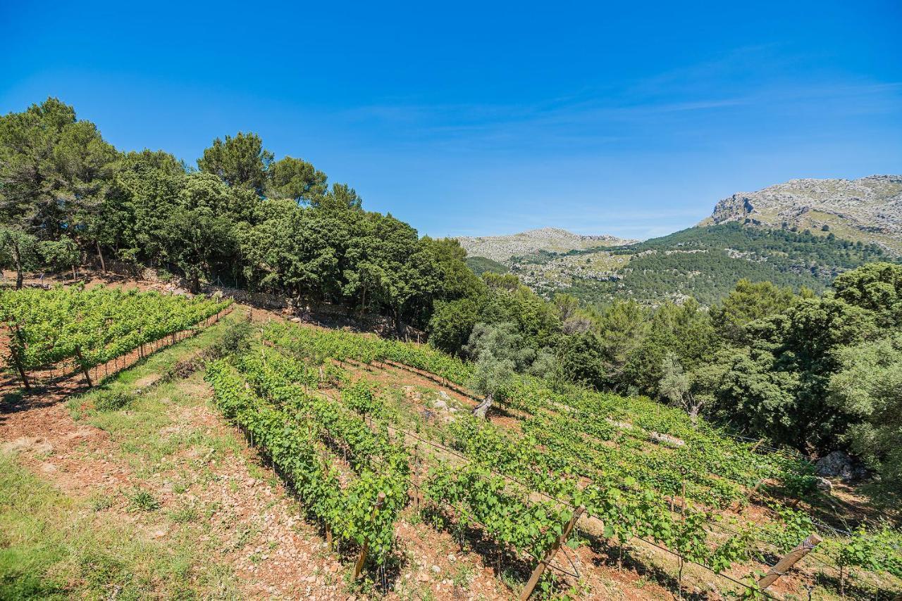 Picassa Villa Pollença Екстериор снимка